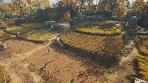 ACOd-Skyros-SaccharineOrchard.jpg