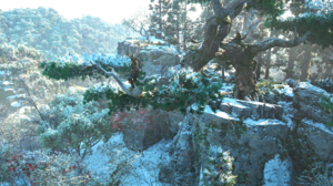 ACSH Mount Sen 1.png