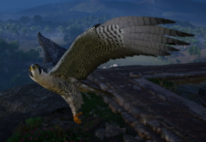 ACV Falcon.png