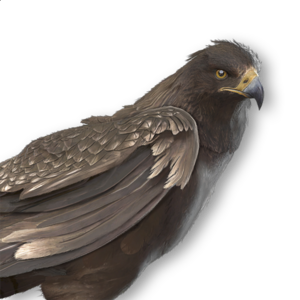 ACMir Great Spotted Eagle.png