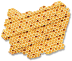 Honeycomb from 1st century BCE Egypt