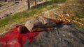 Thumbnail for version as of 00:19, 23 January 2026