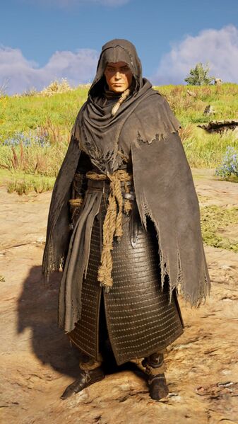 File:ACV Reaper's Armor Set.jpg