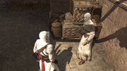 The informant sharing information with Altaïr