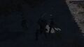 Thumbnail for version as of 05:13, 16 August 2026