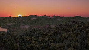 ACSH Eagle's Nest.webp