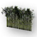 Thumbnail for version as of 19:30, 15 June 2026