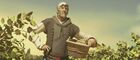Ezio, tending to his vineyards.