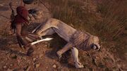 Kassandra fighting the lion