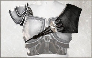 AC2 Armor Metal Pauldrons.png