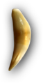 Thumbnail for version as of 00:28, 23 January 2026