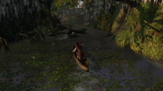 Aveline following Élise through the bayou