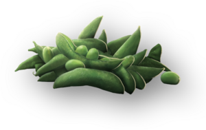 ACSH Edamame.png