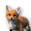 Thumbnail for version as of 16:29, 28 June 2026
