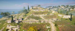 ACOD Kataskopou Vineyard.jpg