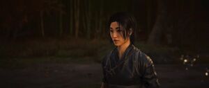 ACSH The Meaning of the Blade 3.jpg
