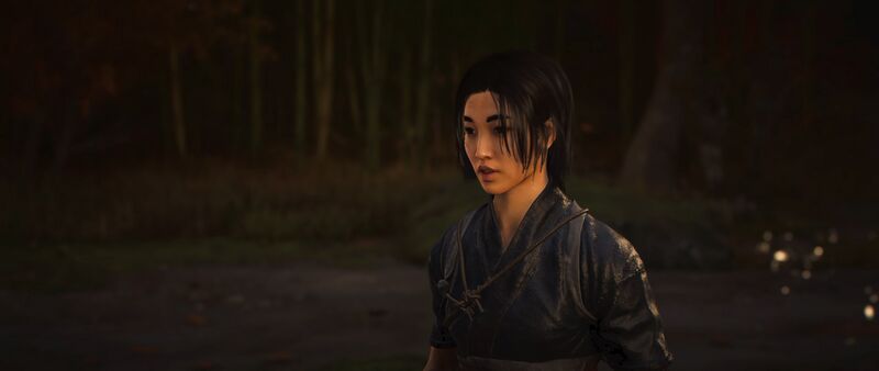 File:ACSH The Meaning of the Blade 3.jpg