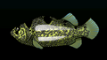 Thumbnail for version as of 00:14, 23 January 2026