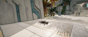 ACOD FoA JoA In Dreams - Lyra Dead.jpg