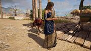 Kassandra sneaking upon Augos