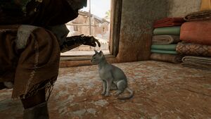 Cat-origins.jpg