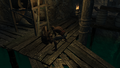 Thumbnail for version as of 00:05, 23 January 2026