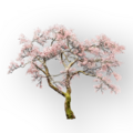 Thumbnail for version as of 00:30, 25 June 2026