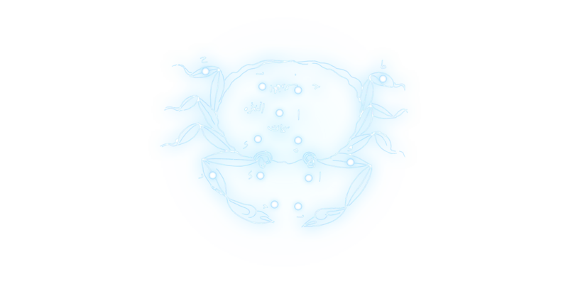 File:DTA - Crab constellation.png