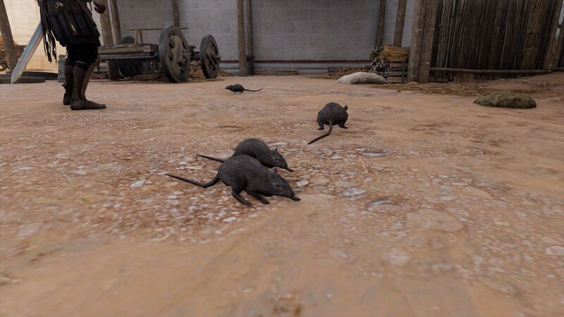 File:Rats-origins.jpg