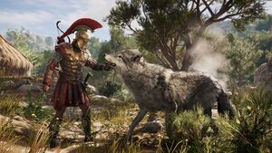 Wolf Pet - ACOdyssey.jpg