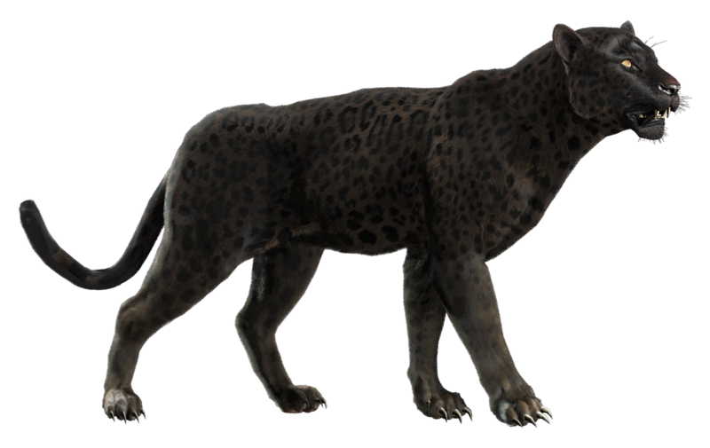 File:ACBFR DB Black Jaguar.webp