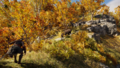 Thumbnail for version as of 00:10, 23 January 2026