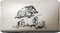 Thumbnail for version as of 00:22, 23 January 2026