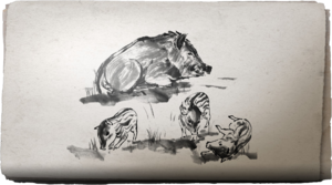 ACSH Sumi-E Playing Piglets.png