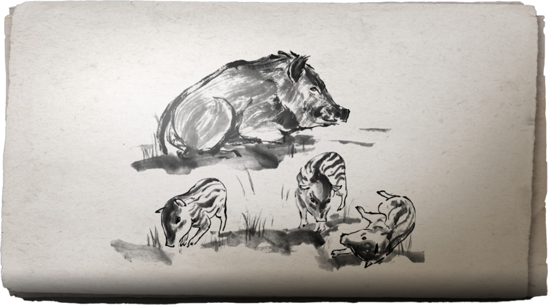 File:ACSH Sumi-E Playing Piglets.png