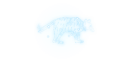 A constellation represented as a fox