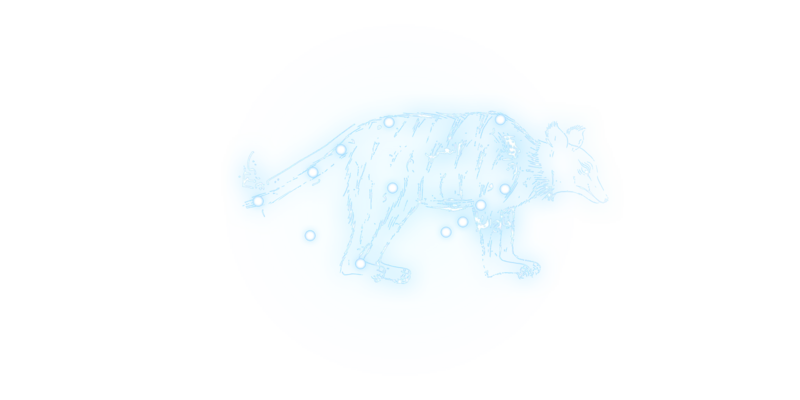 File:DTA - Fox constellation.png