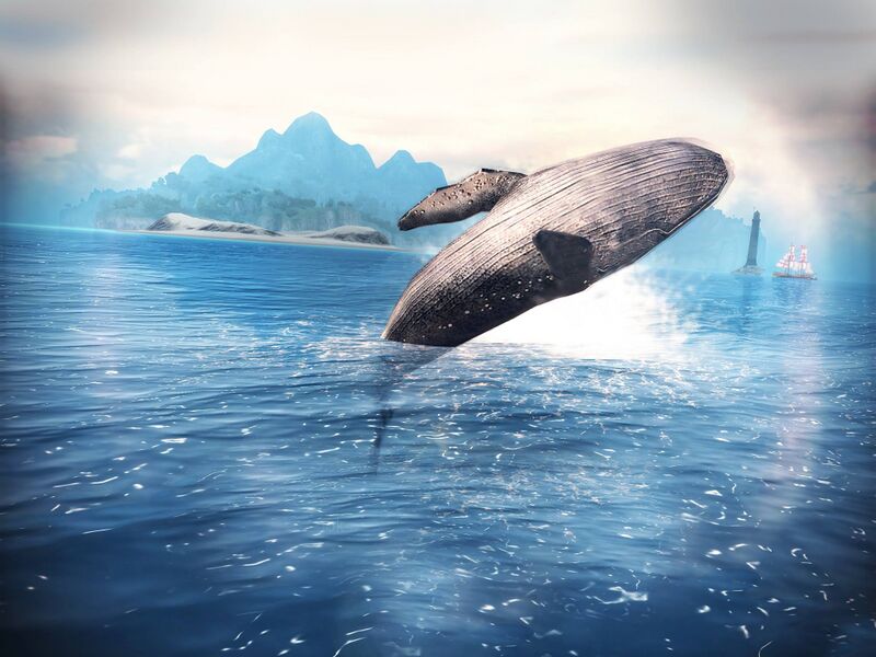File:ACP Humpback whale.jpg