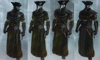 The Doctor's gear in Multiplayer.