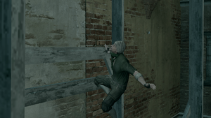 MSMD 3.png