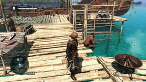 AC4 Fisherman.jpg