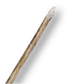 Thumbnail for version as of 00:04, 23 January 2026