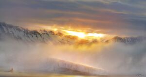 Morning~ by max qin.jpg