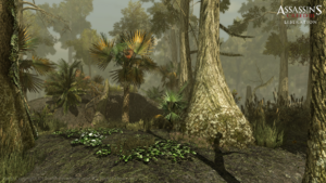 AC3L bayou screenshot 11 by desislava tanova.png