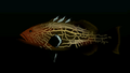 Thumbnail for version as of 00:05, 23 January 2026