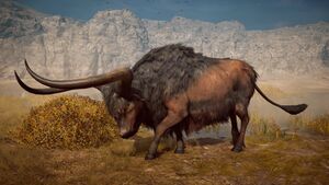 ACOd-KretanBullfull.jpg