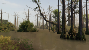 AC3L Bayou.png