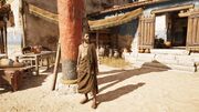 The collector standing outside his home