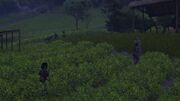 Naoe finds a group of Igan shinobi attacking Mitsuhide's mercenaries