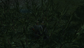 Thumbnail for version as of 00:12, 23 January 2026